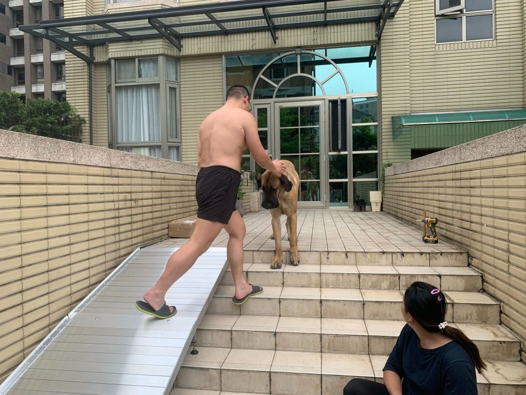 案主對狗狗有家人般疼愛